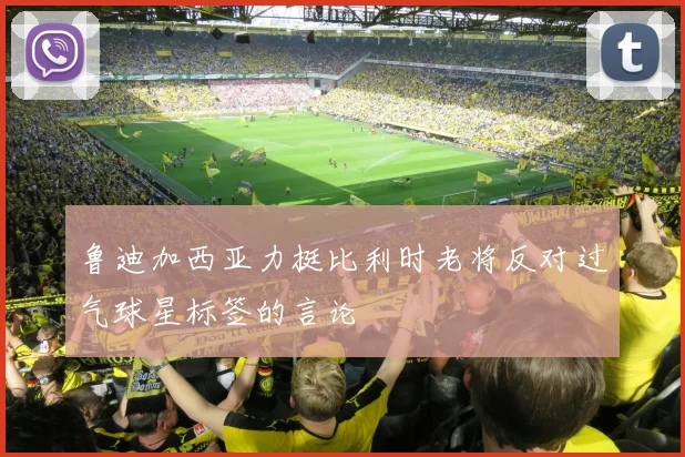 鲁迪加西亚力挺比利时老将反对过气球星标签的言论